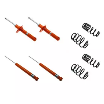 Ensemble de suspension KONI 1120-5282