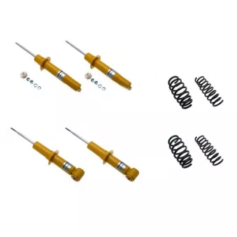 Ensemble de suspension KONI 1140-3244