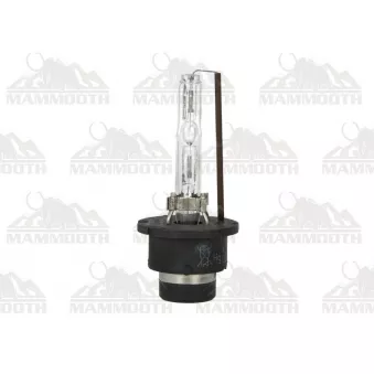 Ampoule D2S MAMMOOTH OEM 1.21595