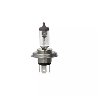 Ampoule BOSCH 1 987 301 070