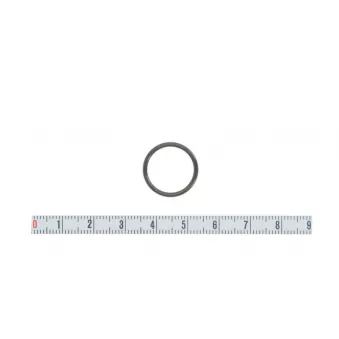 Bague d'étanchéité BOSCH OEM WHT001689