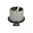 LEMA 585091 - Thermostat d'eau