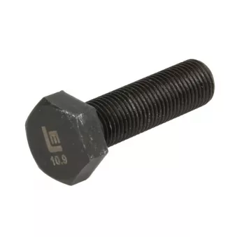 Vis, disque de frein LEMA 9014036.0