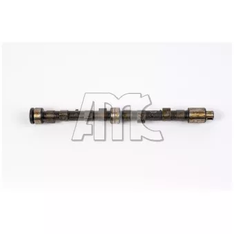 Arbre à came AMC OEM 6062844