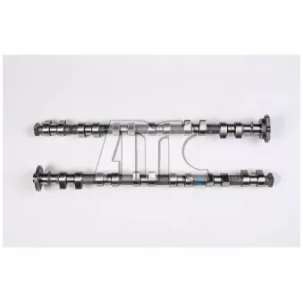 Jeu d'arbres à came AMC OEM 11311738373