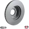 JP GROUP 1163111300 - Jeu de 2 disques de frein avant