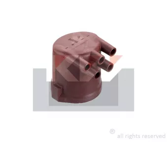 KW 817 029 - Tête d'allumeur