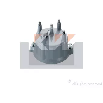 KW 819 092 - Tête d'allumeur