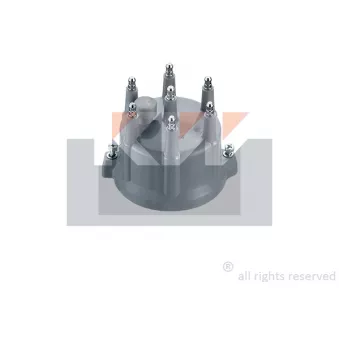 KW 819 093 - Tête d'allumeur