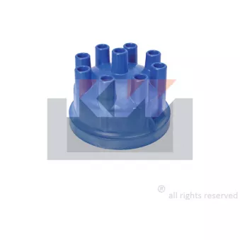 Tête d'allumeur KW [828 091]