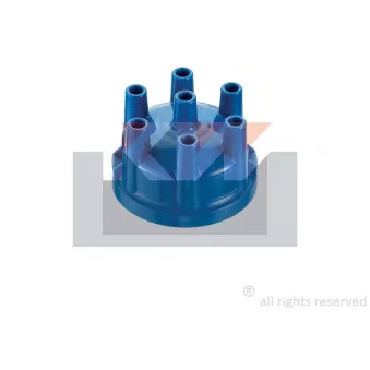 KW 828 098 - Tête d'allumeur