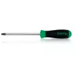 TOPTUL FEAB2010 - Tournevis TORX TAMPER