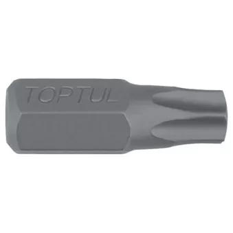 Embout de tournevis TORX 5/16