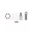 TOPTUL BCQA1614 - Embout RIBE sur douille 1/2