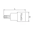 TOPTUL BCQA1609 - Embout RIBE sur douille 1/2