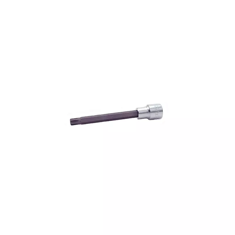 Embout RIBE sur douille 1/2