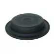 SBP 05-DMT30LS - Diaphragme, cylindre de frein