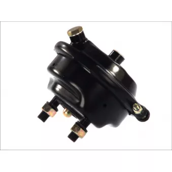 Cylindre de roue à diaphragme SBP 05-BCT16-K02 pour MERCEDES-BENZ ACTROS MP2 / MP3 2665 LS - 653cv