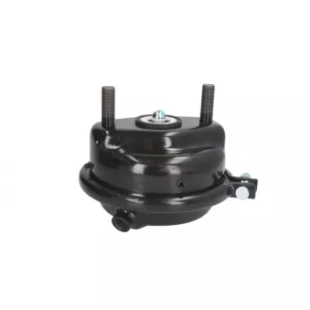 Cylindre de roue à diaphragme SBP 05-BCT24-K03 pour MERCEDES-BENZ ACTROS MP2 / MP3 2665 LS - 653cv