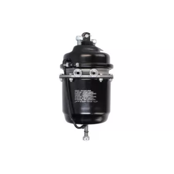 Cylindre de roue multifonction SBP 05-BCT30/30-W05 pour MERCEDES-BENZ ACTROS MP2 / MP3 4151 K - 510cv