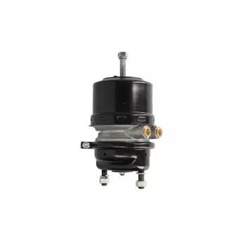 Cylindre de roue à ressort SBP 05-BCT12/16-W01 pour MERCEDES-BENZ ACTROS MP2 / MP3 2548 LS - 476cv