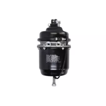 Cylindre de roue multifonction SBP 05-BCT30/30-W06 pour MERCEDES-BENZ ACTROS MP2 / MP3 4151 K - 510cv