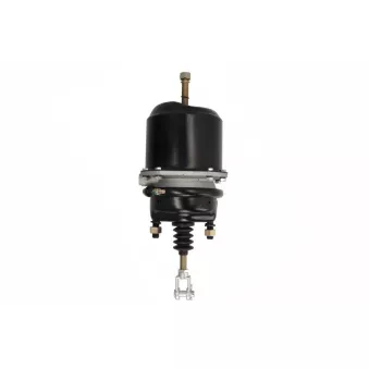 Cylindre de roue à ressort SBP 05-BCT20/24-W04 pour MERCEDES-BENZ ACTROS MP2 / MP3 4140 K - 394cv