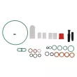DELPHI 7135-539 - Kit d'assemblage, pompe à carburant