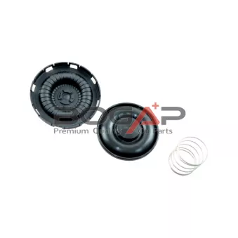 BOGAP B1116110 - Soupape, dégazage du carter