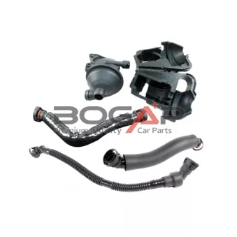 BOGAP B1217116 - Kit de réparation, ventilation du carter-moteur