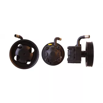 Pompe hydraulique, direction ELSTOCK OEM 4910067J00