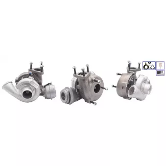 Turbocompresseur, suralimentation ELSTOCK OEM 860080