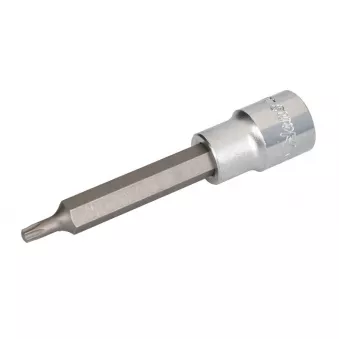 Embout Torx sur douille 1/2