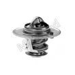 MOTORAD 552-82JK - Thermostat d'eau
