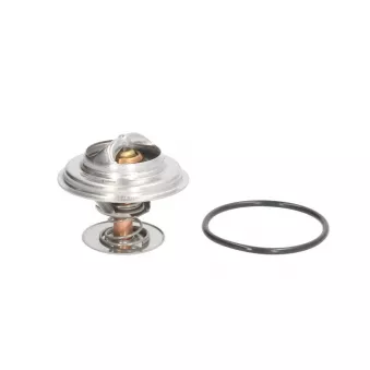 Thermostat d'eau MOTORAD OEM 11531743528