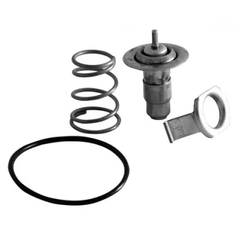 Thermostat d'eau MOTORAD OEM 047121111Q