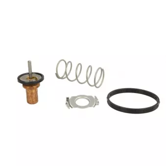 Thermostat d'eau MOTORAD 799-88K