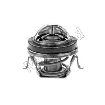 Thermostat d'eau MOTORAD OEM 6535178