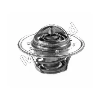 Thermostat d'eau MOTORAD 200-74JK