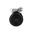 SANDEN 10B17-ACE99505 - Compresseur de climatisation