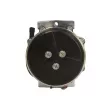 SANDEN SD7H15-8244 - Compresseur de climatisation