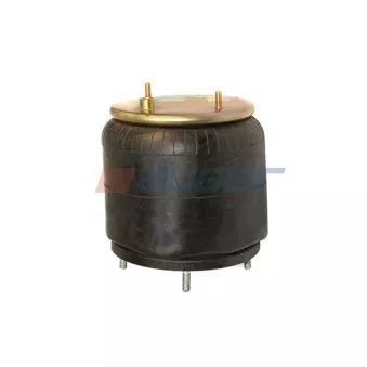 Ressort pneumatique, suspension pneumatique AUGER OEM 5010305438