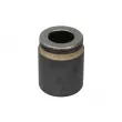 Piston d'étrier de frein BBP [7924BBP]