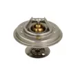 Thermostat d'eau ANAC MAKINA [02-201544]