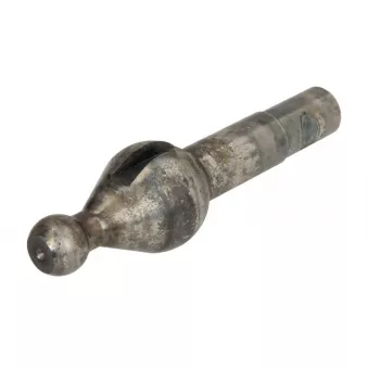 Pommeau de levier de vitesses ANAC MAKINA 445-05501
