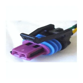 Kit rép câble, capteur de température liquide de refroidis DELPHI 6407-600
