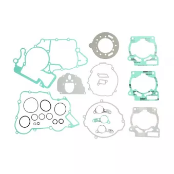 Jeu de joints moteur WINDEROSA 808304