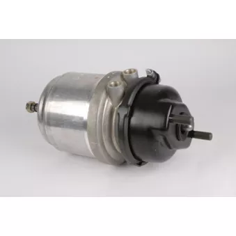Cylindre de roue à ressort KNORRBREMSE K007662N00 pour MAN TGA 26,480 - 480cv