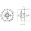 DELPHI BF109 - Tambour de frein