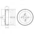 DELPHI BF411 - Tambour de frein